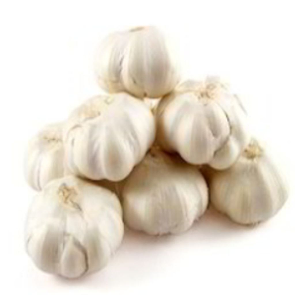 White-Garlic-500g
