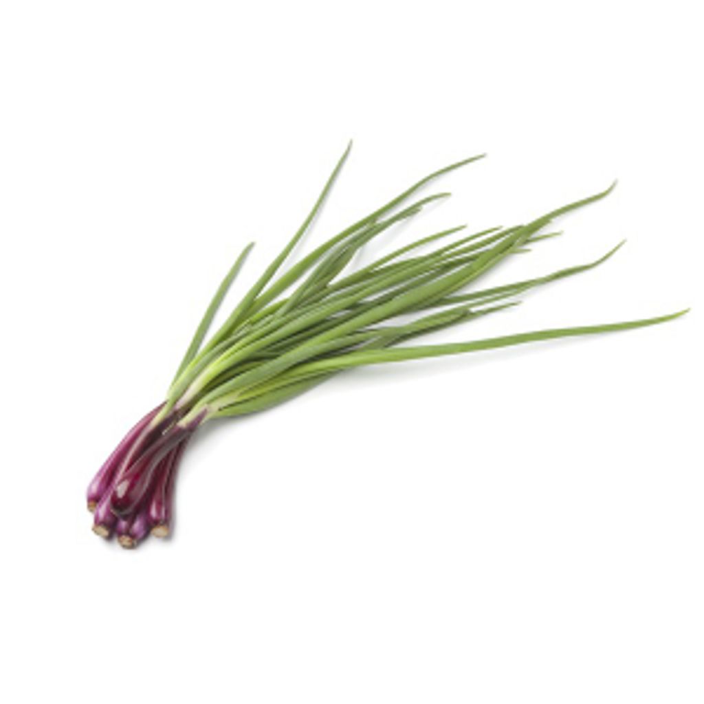 Spring-Onion-100g