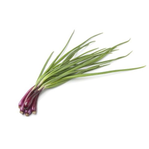 Spring-Onion-100g