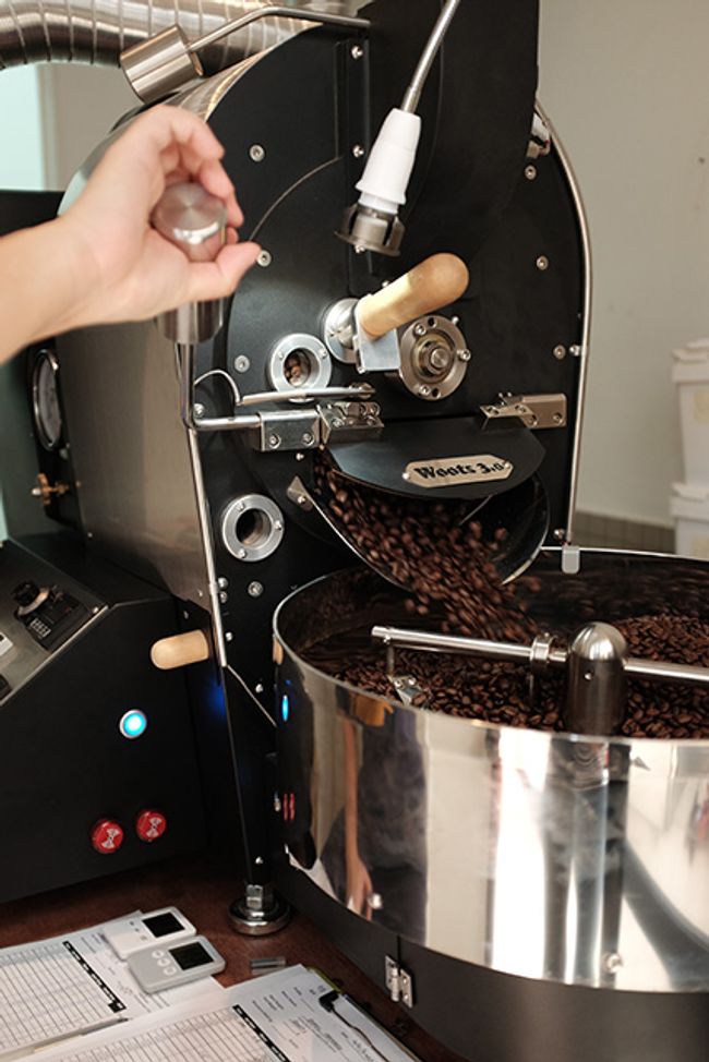 Wild Sheep Home |  - ROAST COFFEE