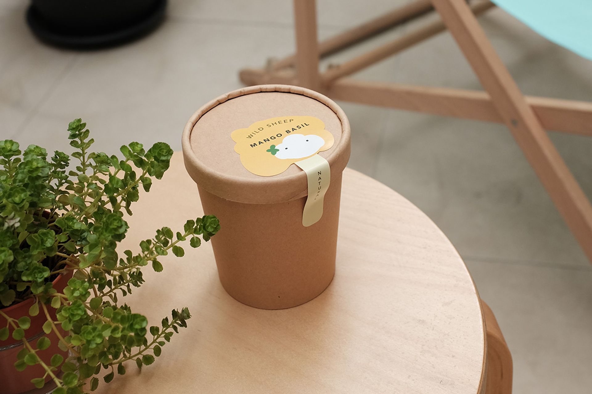Wild Sheep Home | FRESH ICE CREAM