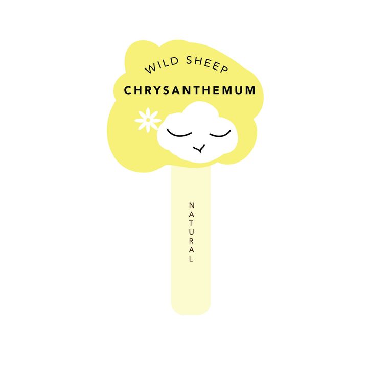 WSIC_CHRYSANTHEMUM_Chrysanthemum.jpg