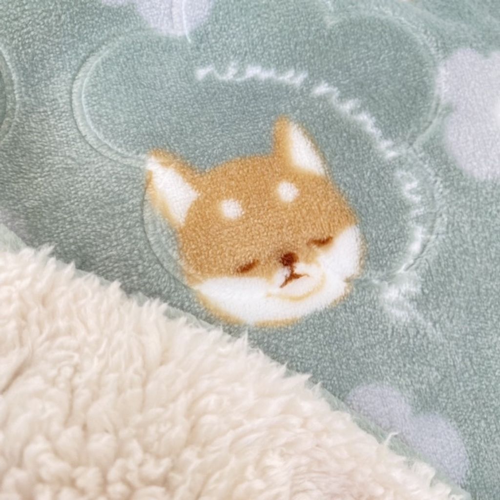 sg-11134201-22100-3wrdo2dvbnivc8