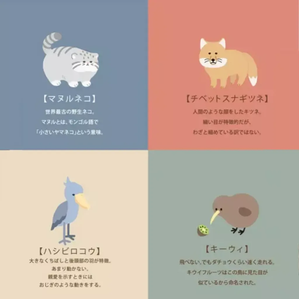 2D914C3A-9D0A-475B-BD4A-BD9244DB7665_700x700.png