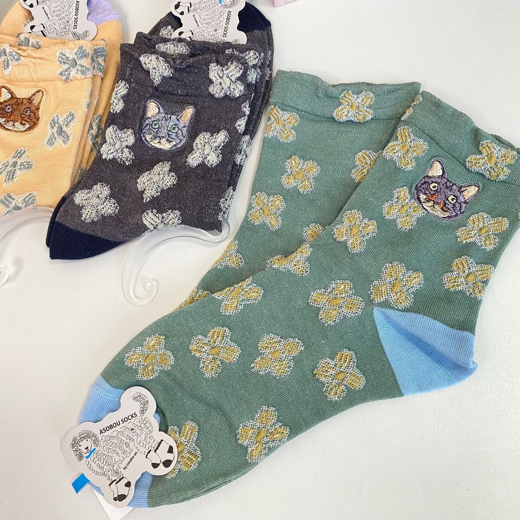 IMG_2635-1711603621001