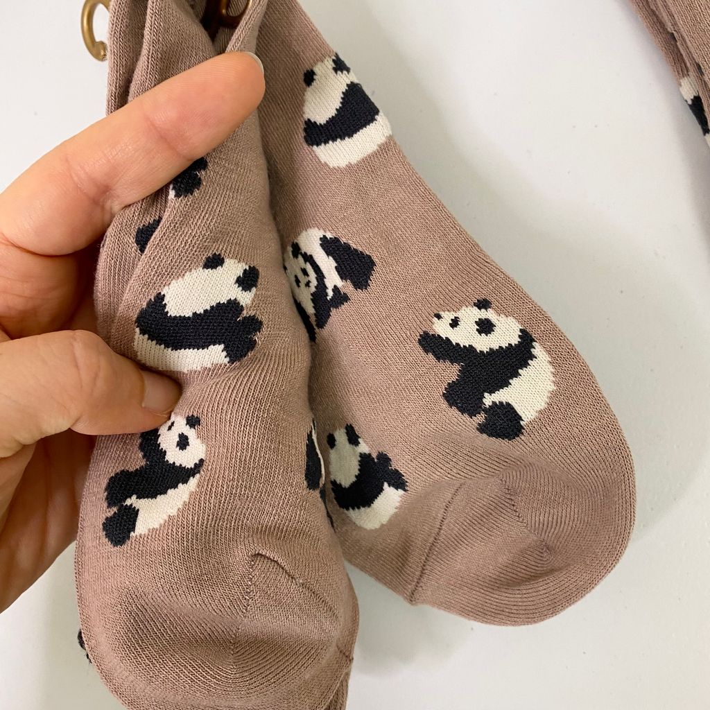 IMG_8616-1711681330049