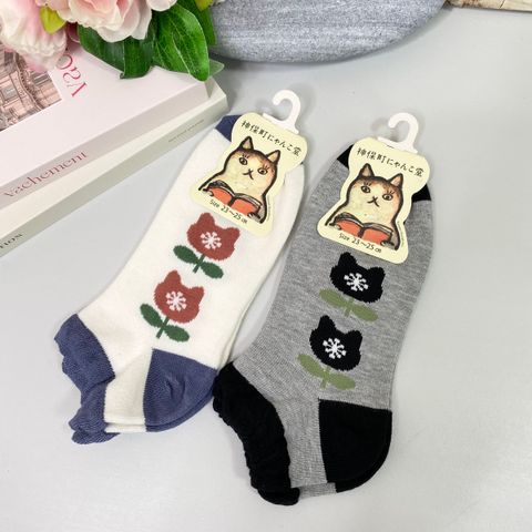 IMG_8661-1711681832150