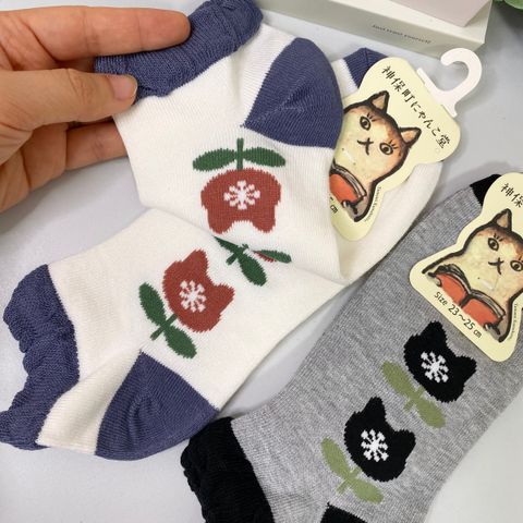 IMG_8662-1711681832369