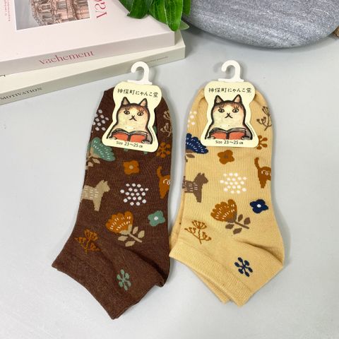 IMG_8657-1711681922017