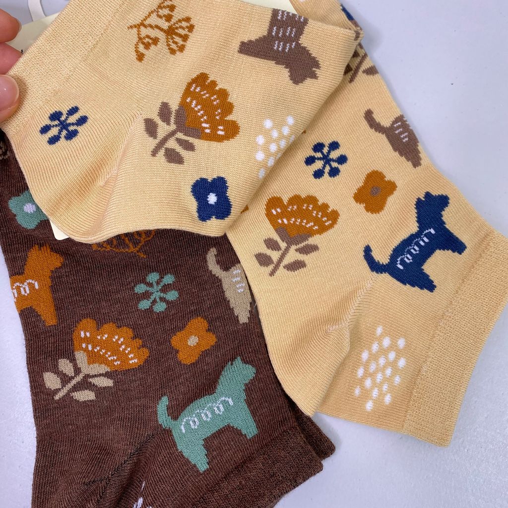 IMG_8658-1711681922195