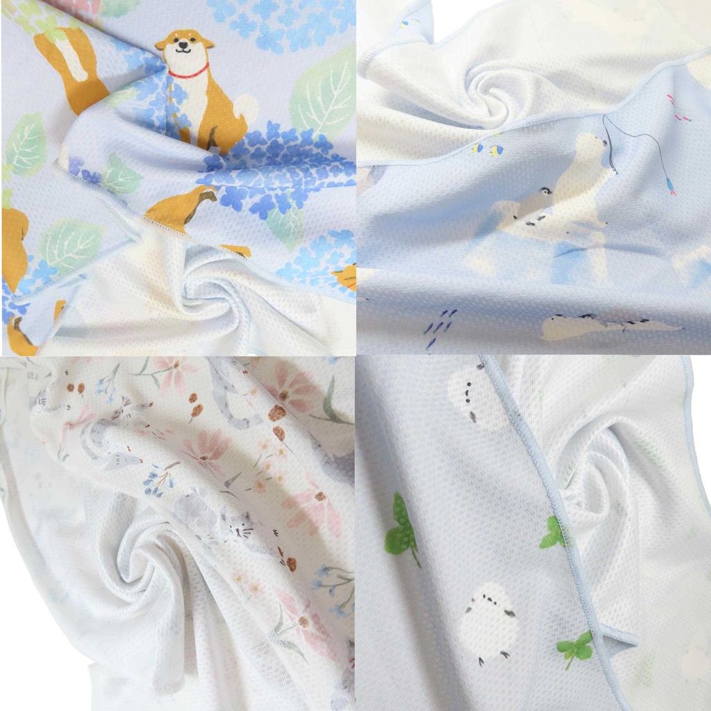 IMG_5285-1715430853946