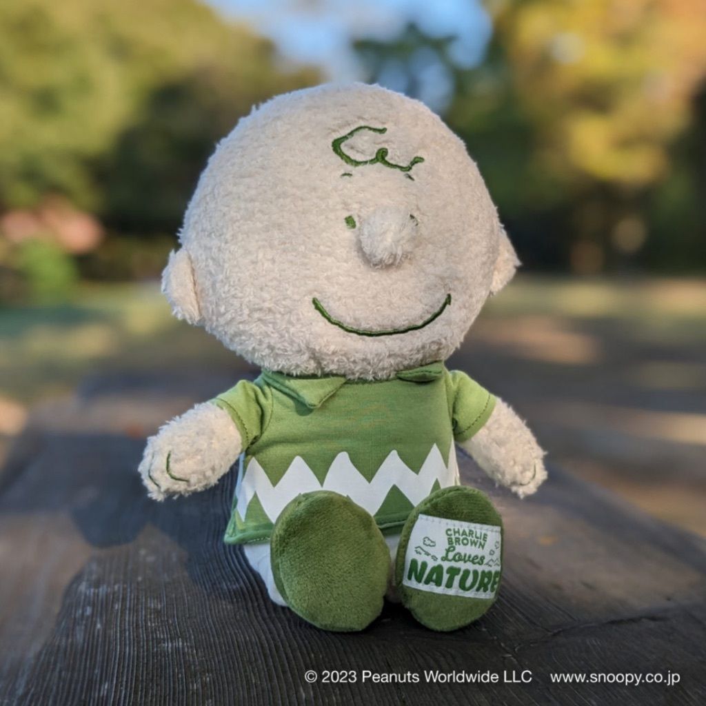 tw-11134207-7r991-lxhu8iny2hbke1