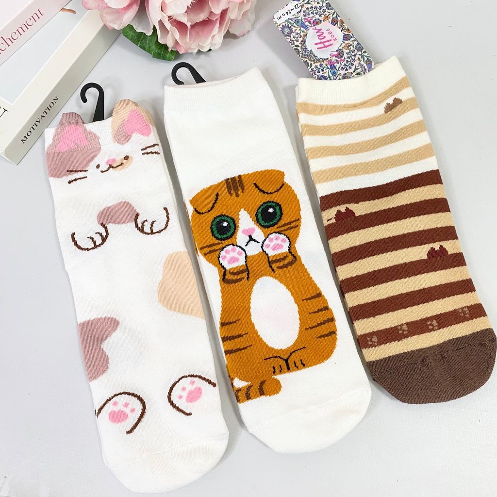 IMG_7802-1721832456031