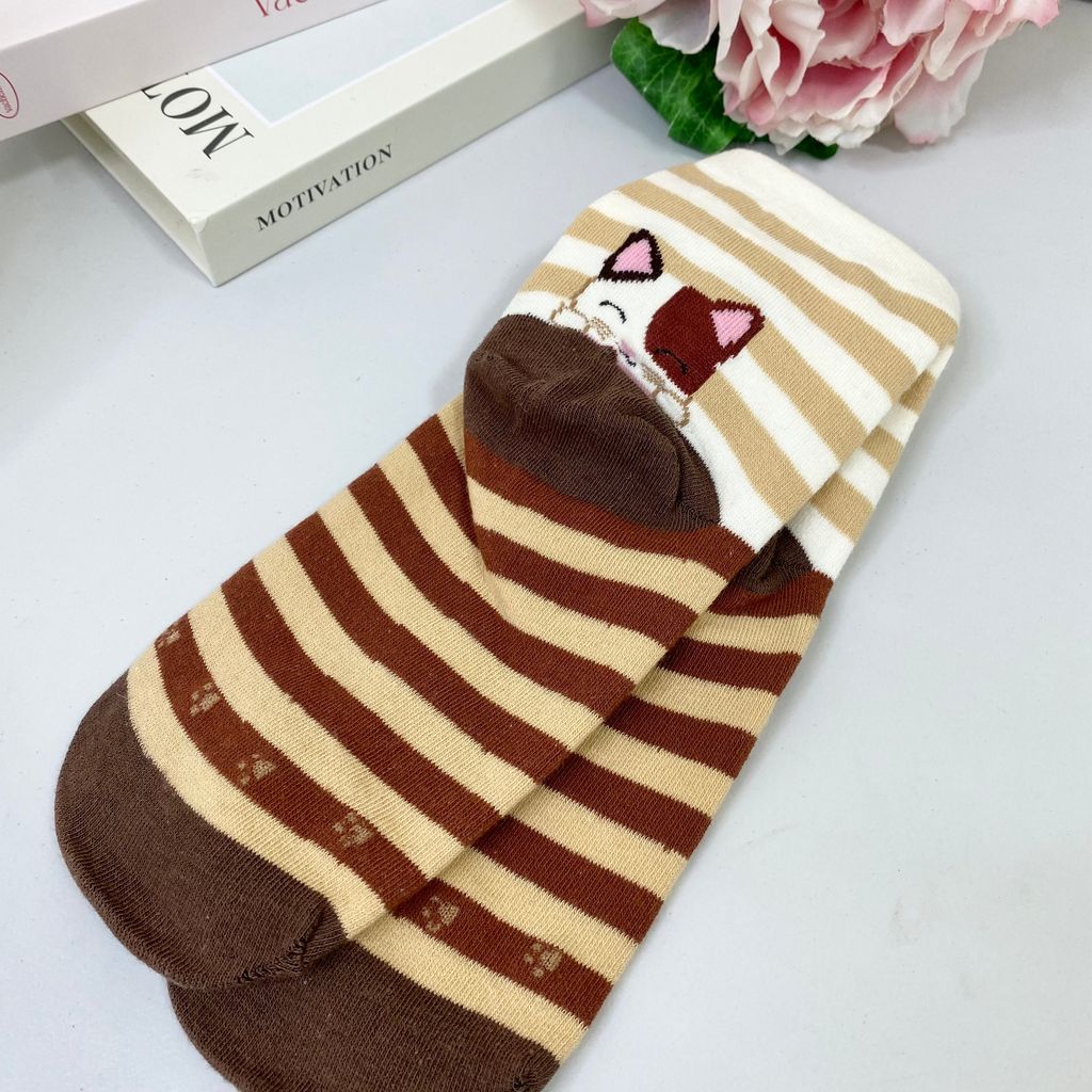 IMG_7804-1721832456459