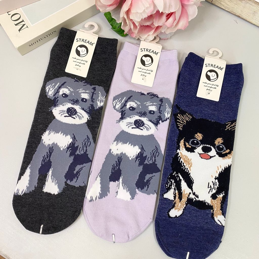 IMG_7825-1721832574308