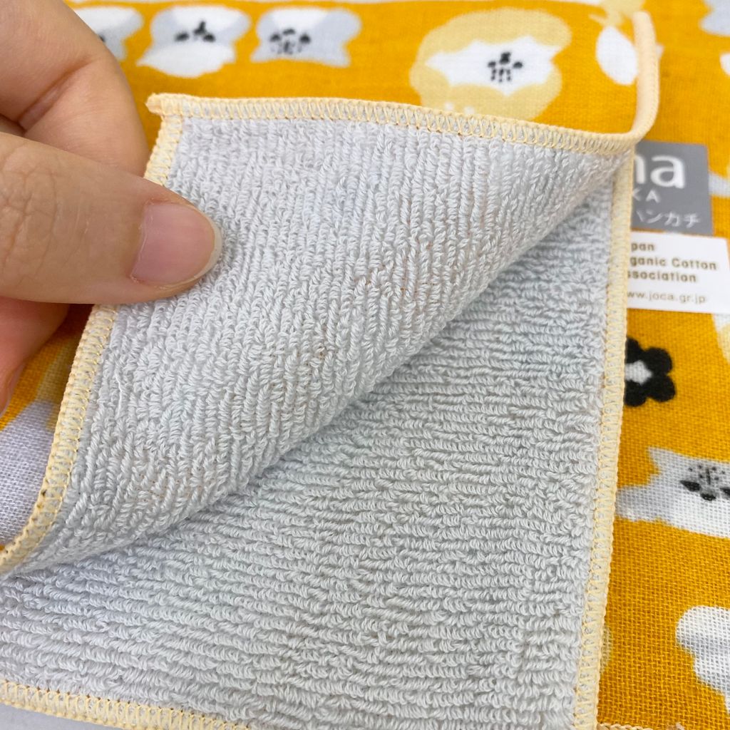 IMG_7669-1721833332508