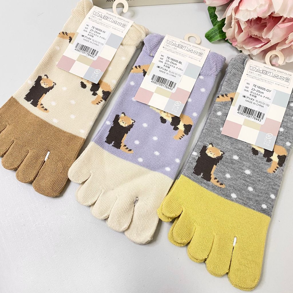 IMG_7972-1722081912152