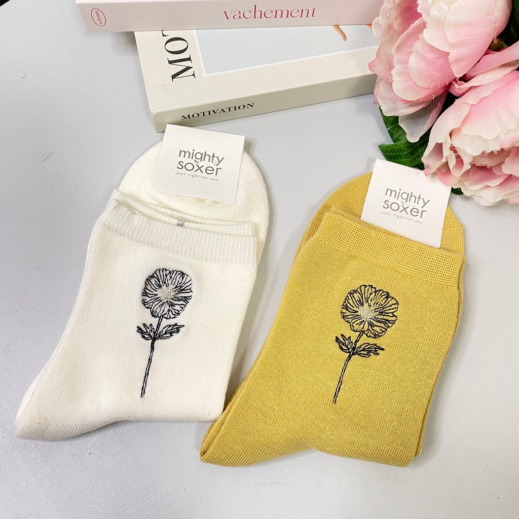 IMG_7977-1722082023100