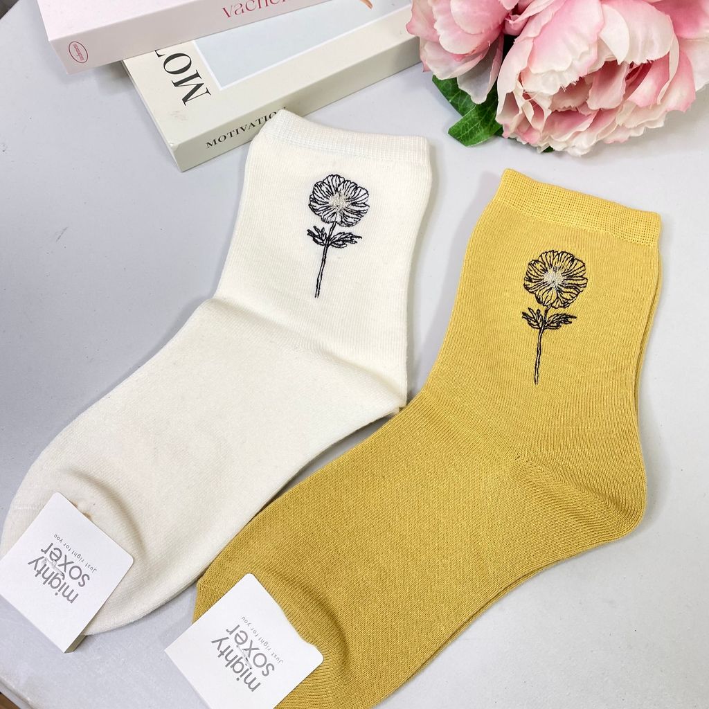 IMG_7981-1722082023274