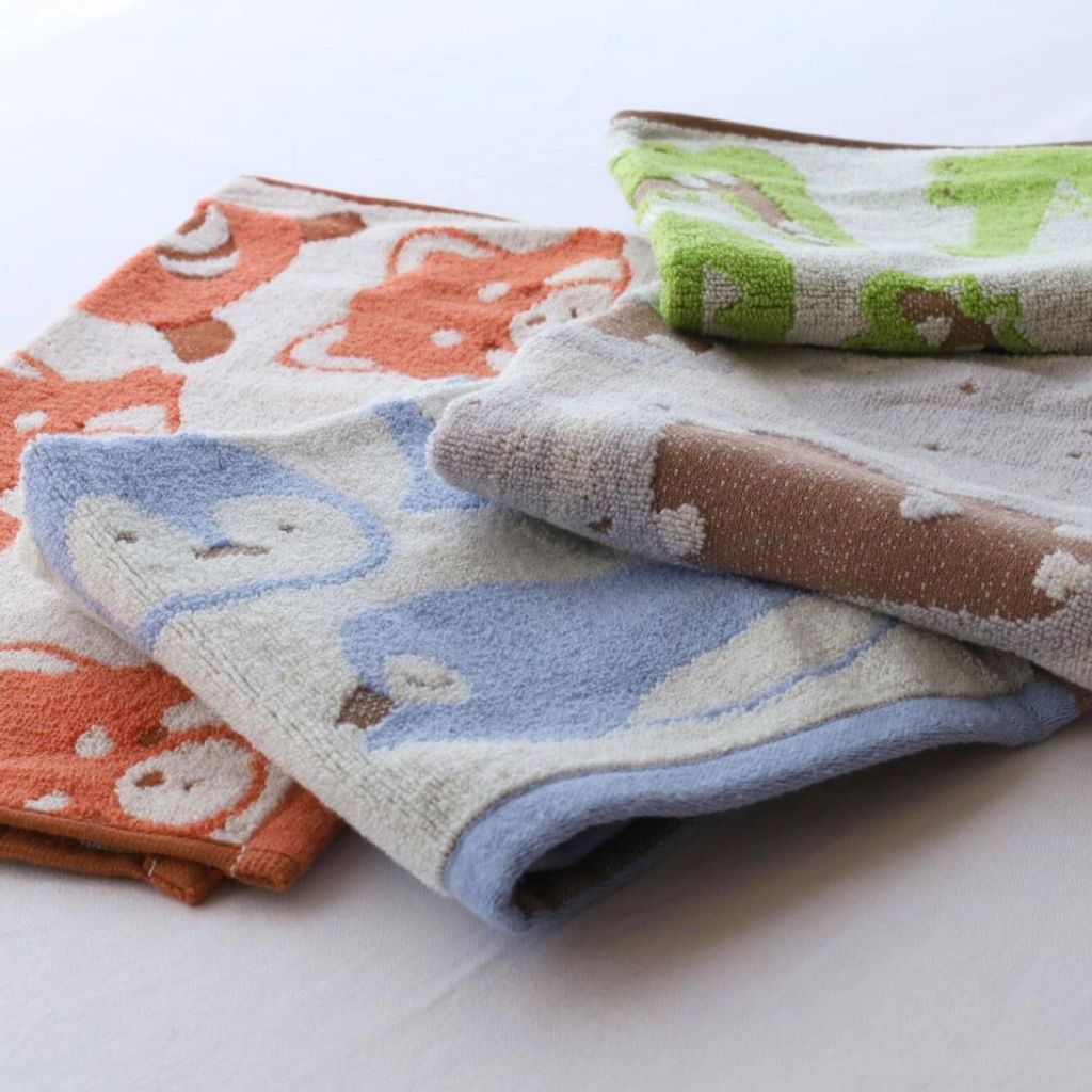 452871624_1062605282532503_1999383762594382156_n