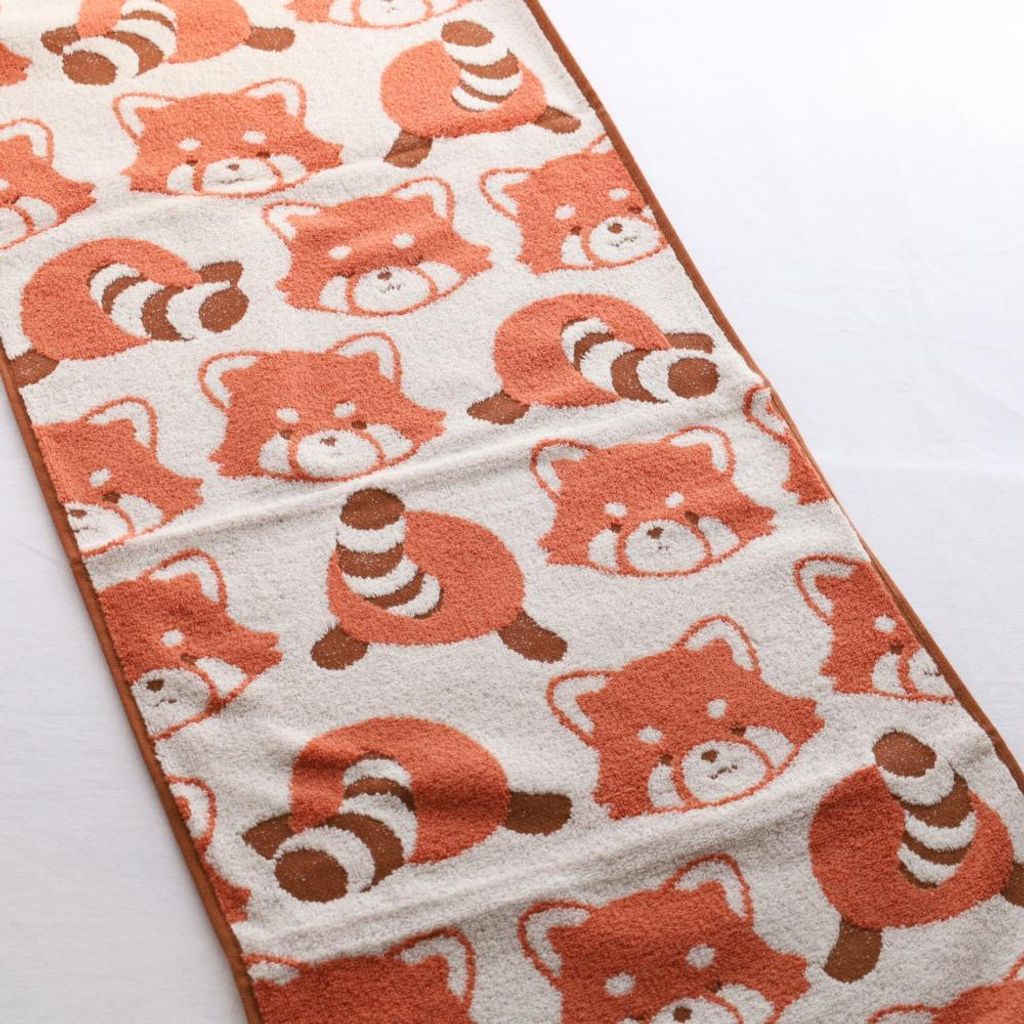 452871326_1062605212532510_2744155694126338822_n