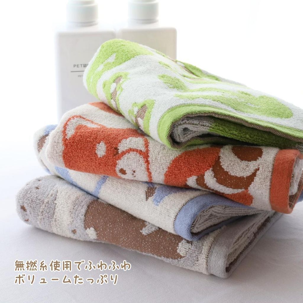 452429313_1062605179199180_222190809733588697_n