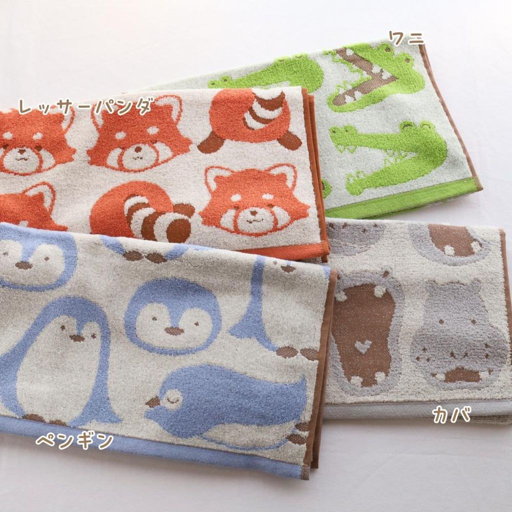 452749494_1062605032532528_5144841067856344132_n