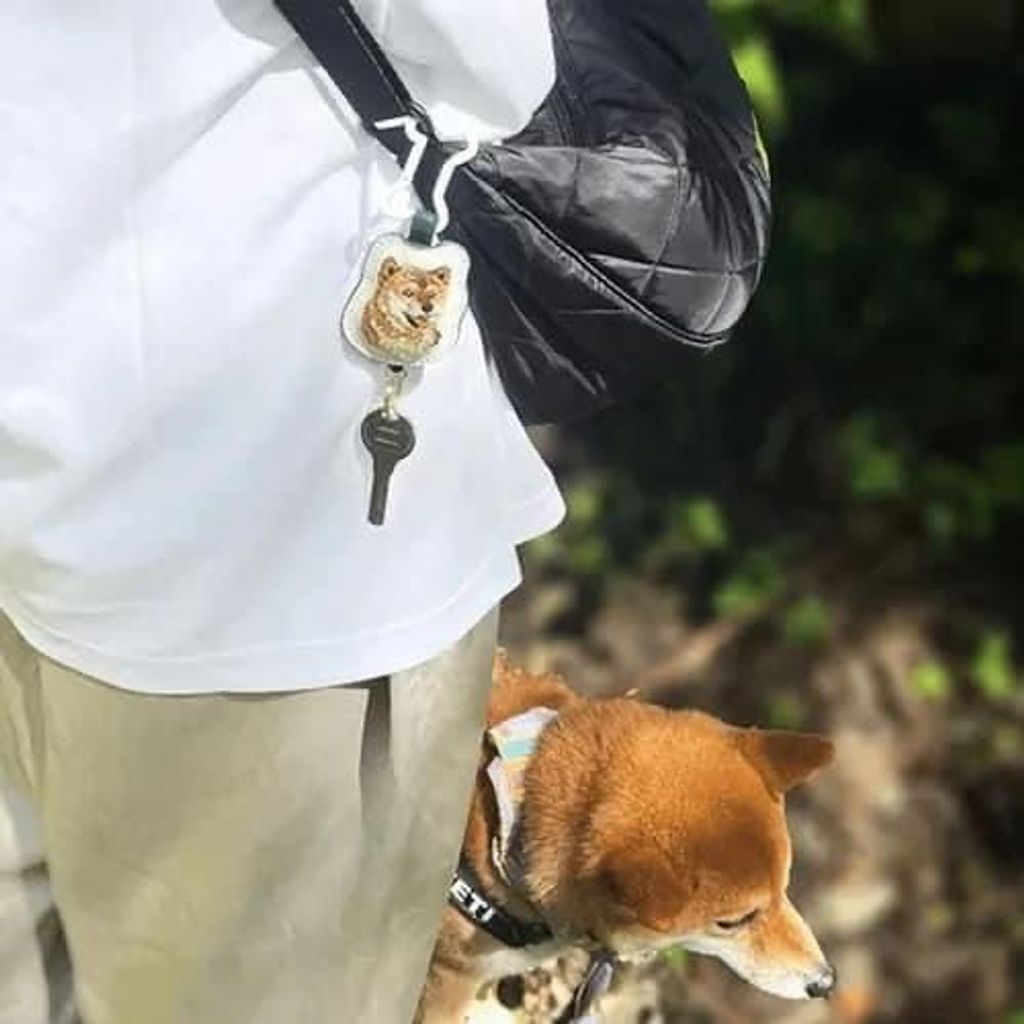 IMG_0278-1731486972589