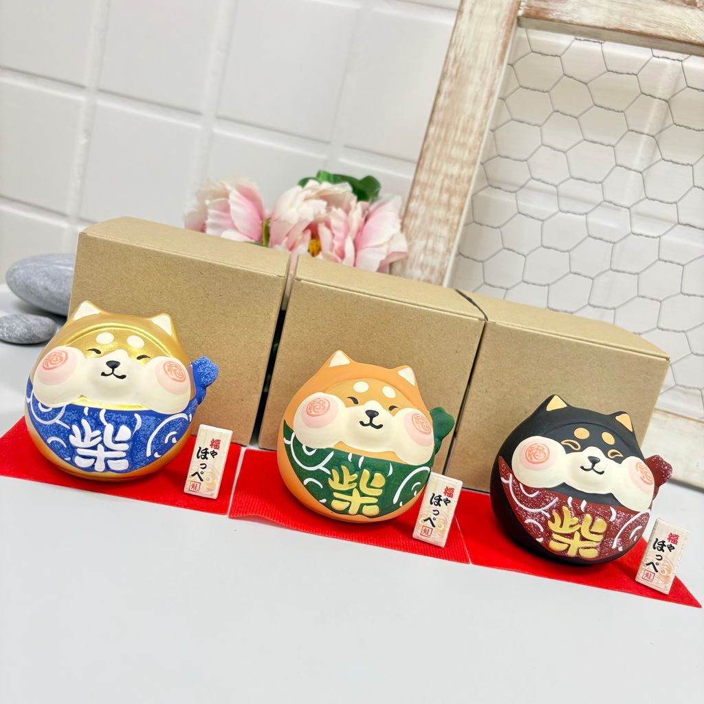 IMG_0808-1732591277712