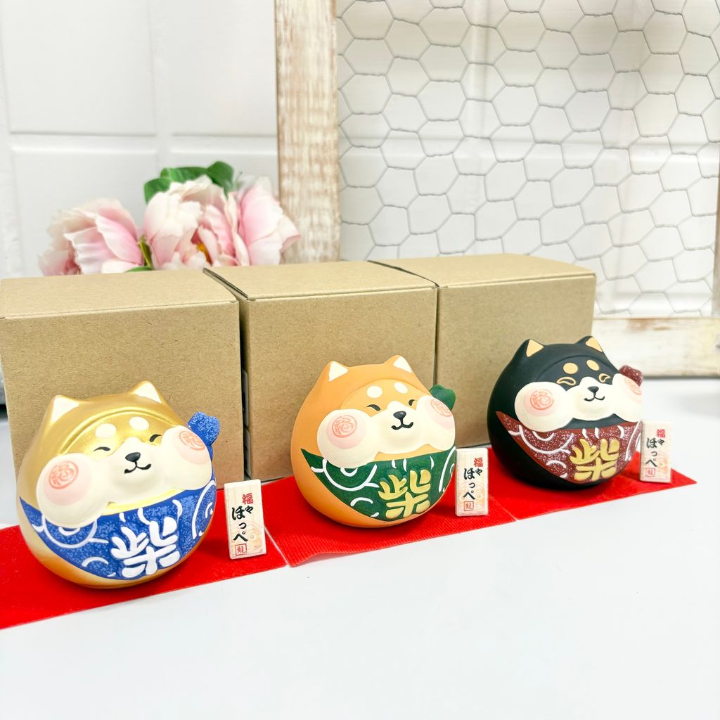 IMG_0807-1732591277981