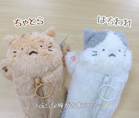 2025-1-9下午5.45的影像