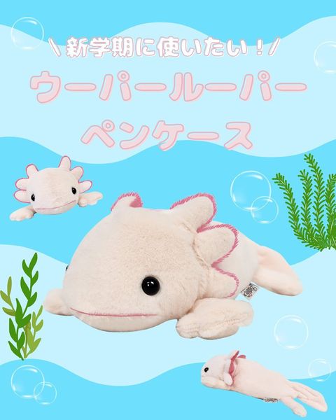 481951408_18396138694099295_8242581282662643975_n