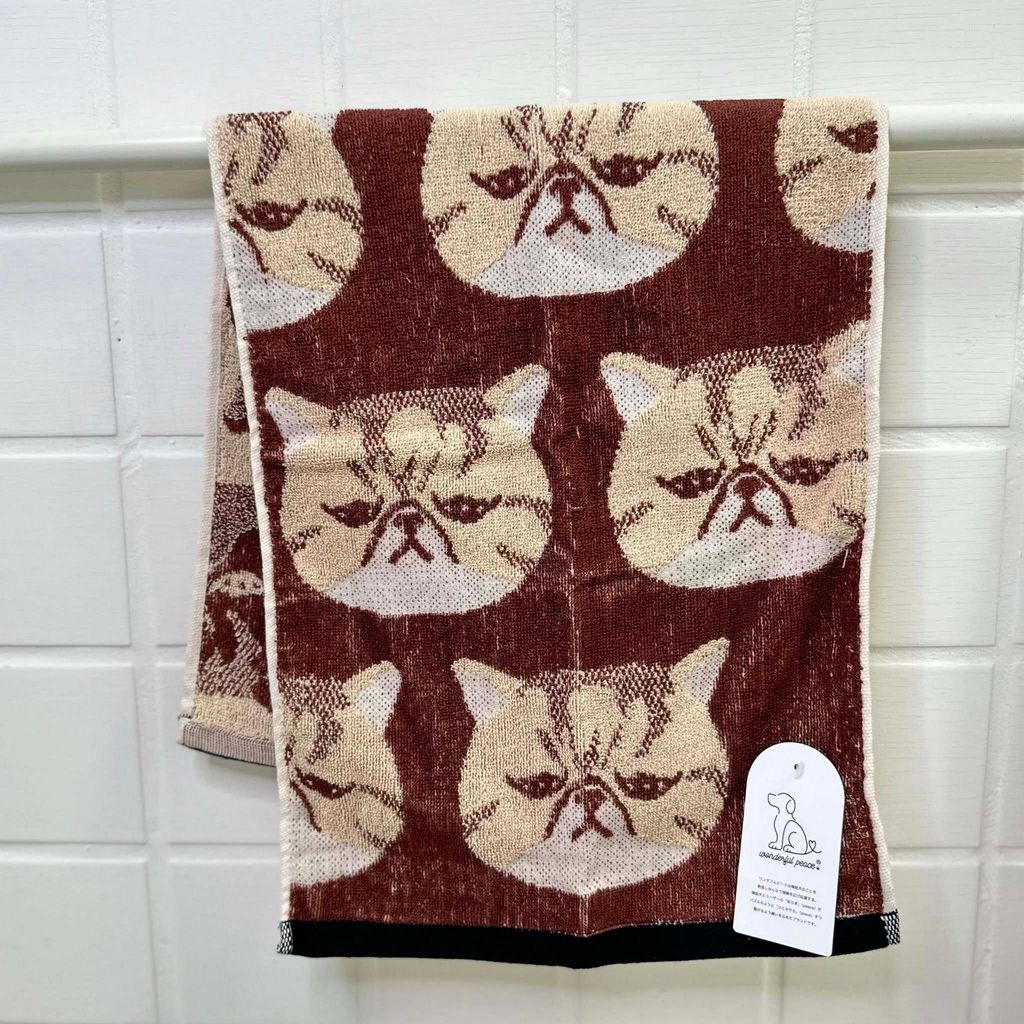 502411345_1322531329873229_1296558436913727725_n