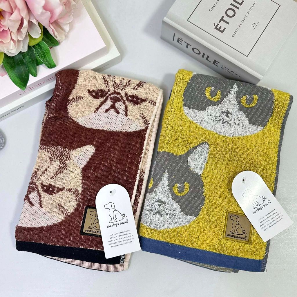 502412625_1322531263206569_7367738207878606503_n