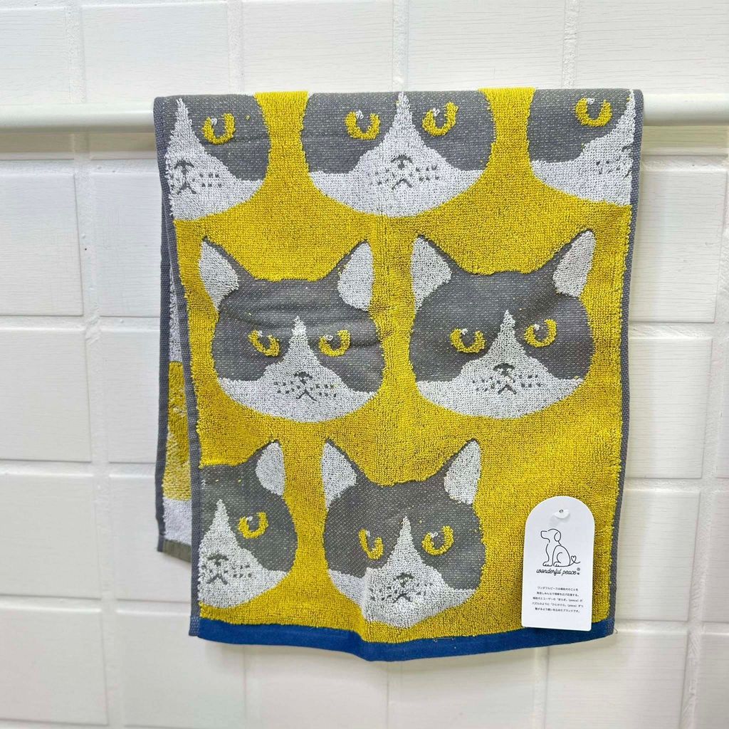 502412477_1322531273206568_2043220170067164732_n