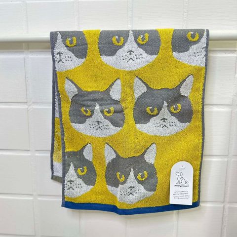 502412477_1322531273206568_2043220170067164732_n