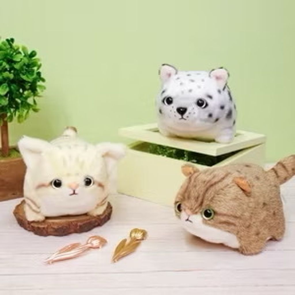 image_78076127-27EC-4897-A990-F9FD6A7E5129_1752046390