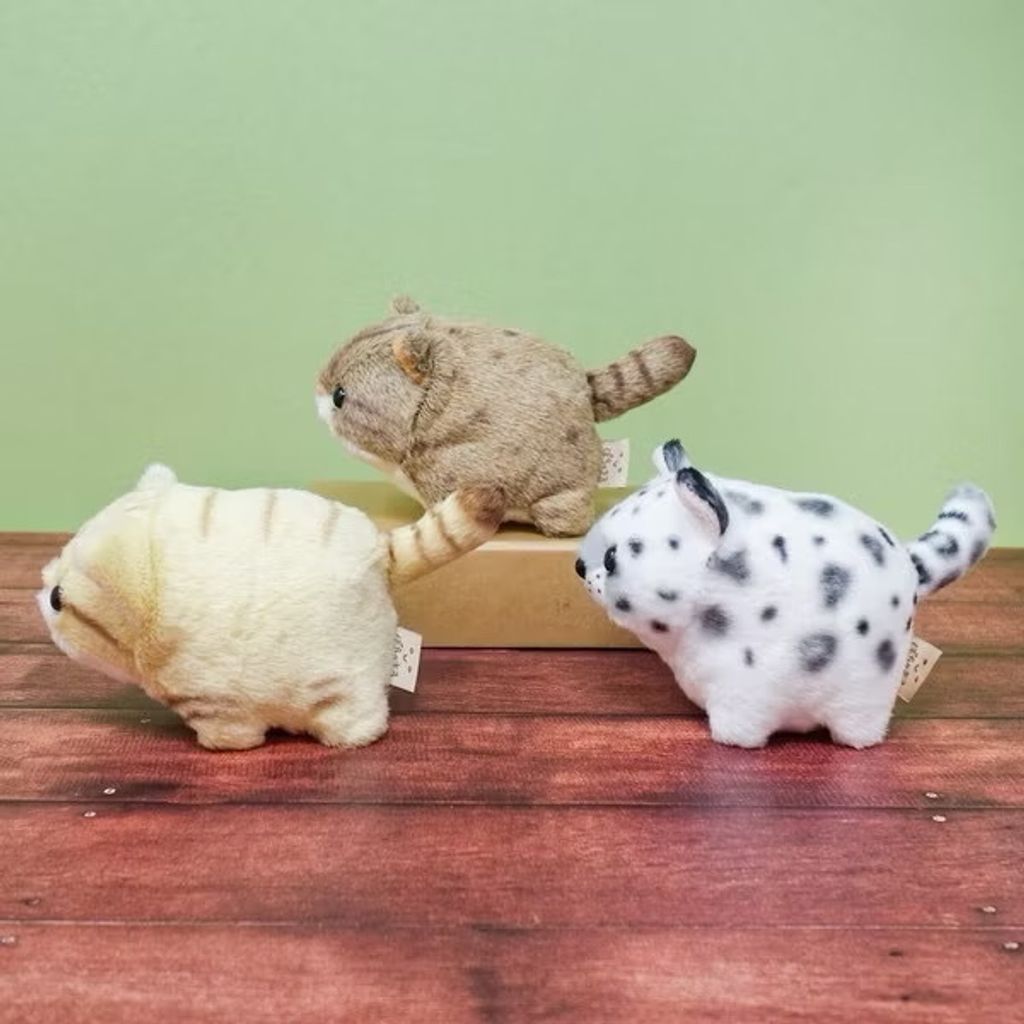 image_2F460FE2-3892-4529-8685-48201D8488BE_1752046390