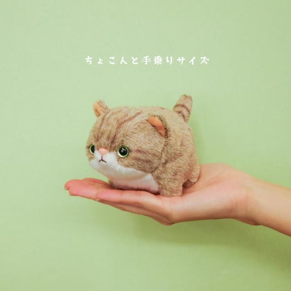 image_0BFBAF7B-6E4C-4EAB-9637-C47515479D89_1752046390