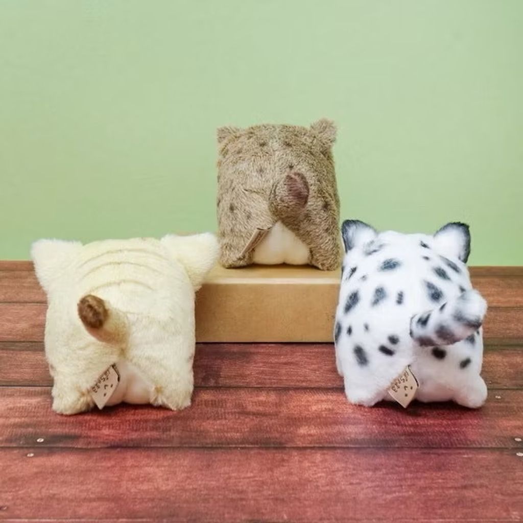 image_E84A89E5-7457-437B-A75F-EF681C80F5EC_1752046390