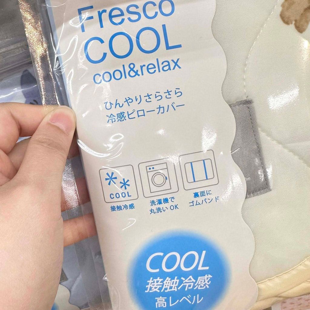 499484903_1313223440804018_4337671698693748670_n