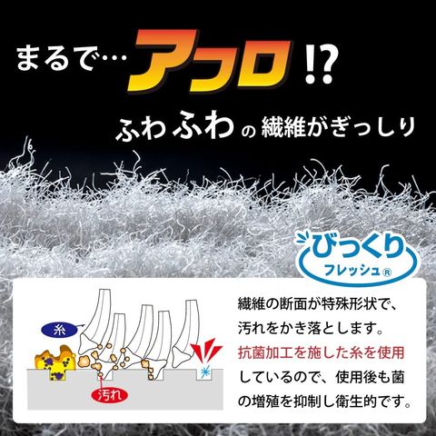 image_92F39172-2D24-4612-95D6-DBD30ABD2950_1752221755