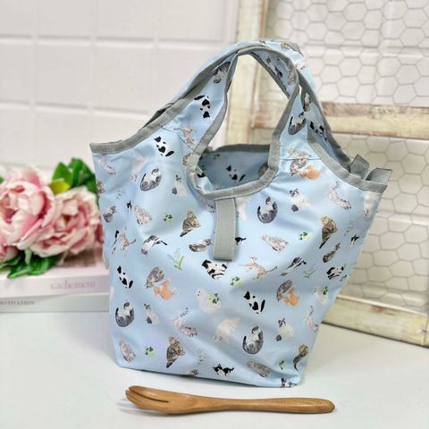 517222599_1363916585734703_2393815827686098483_n