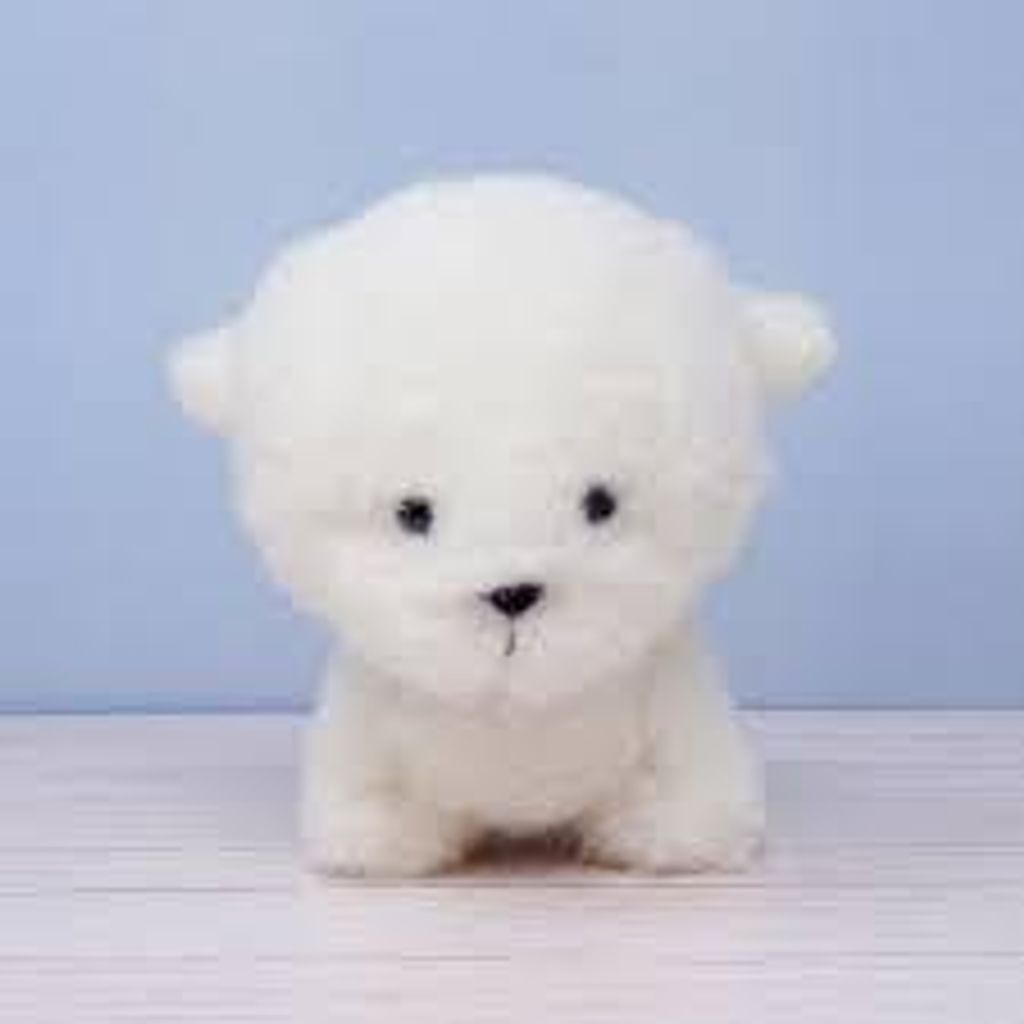 images-2 下午12.37.13