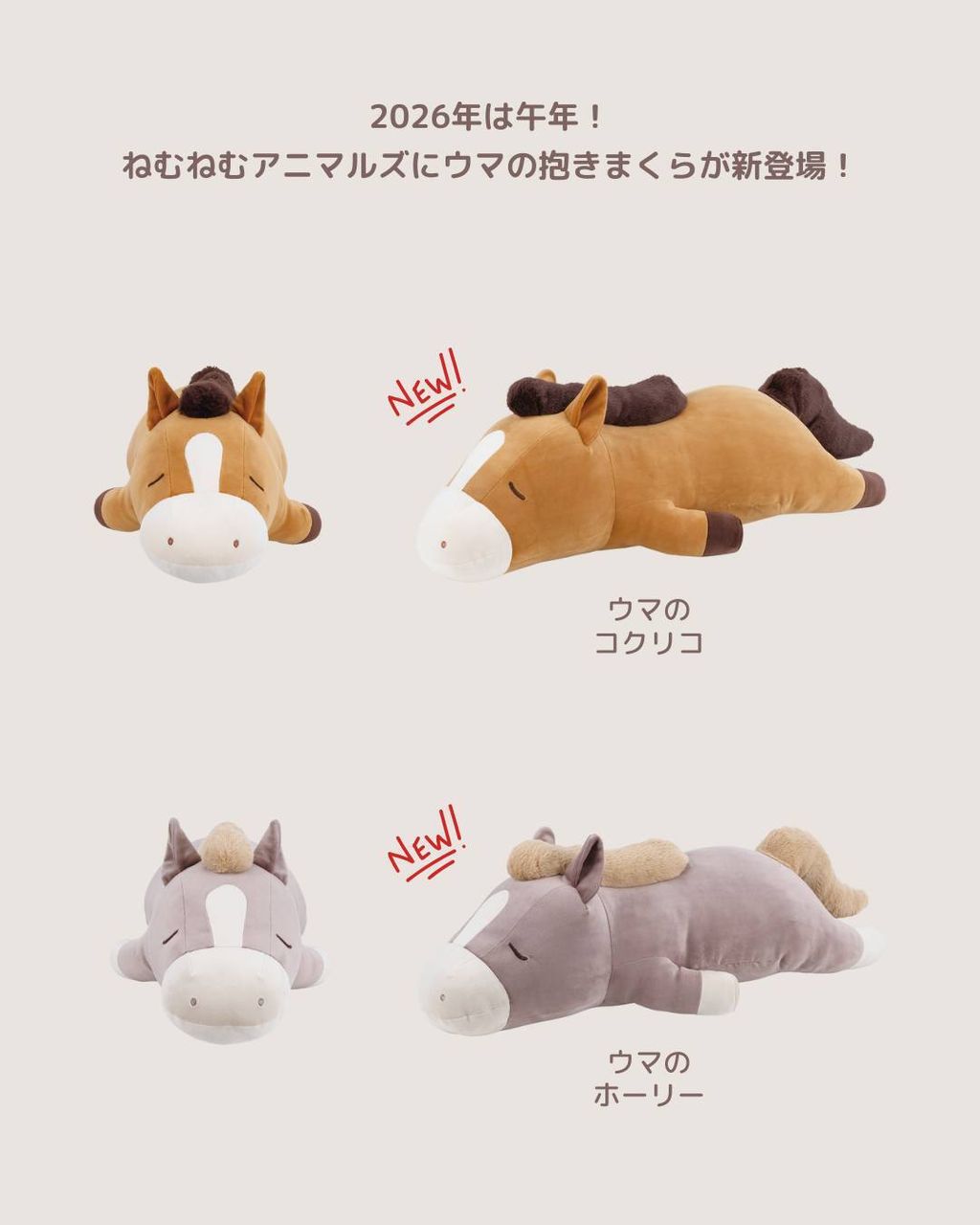 518314878_1302414665225263_3125487192159062476_n