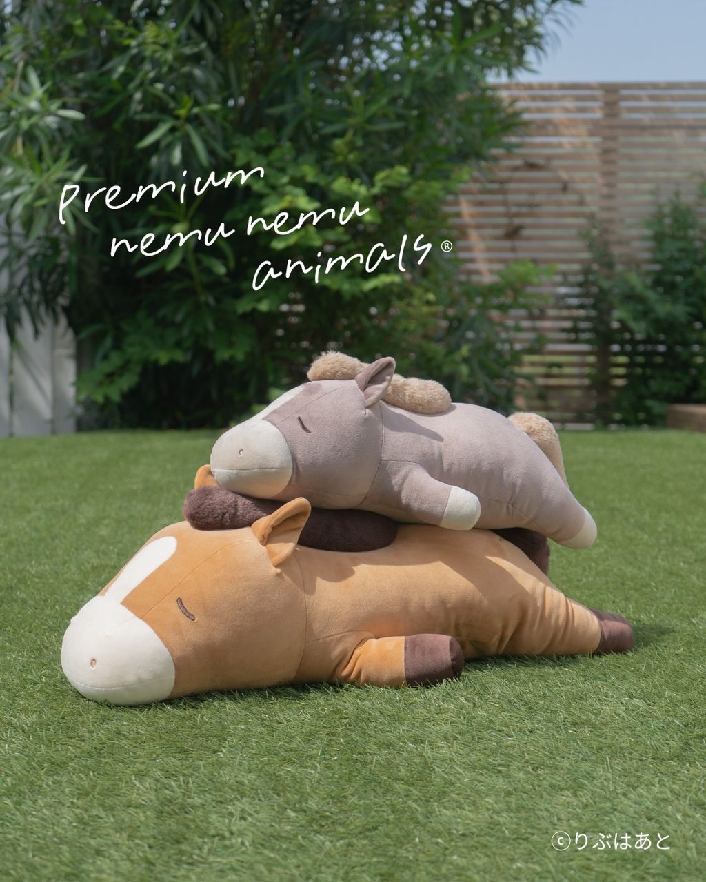 516801243_1302414741891922_8078437870130494743_n