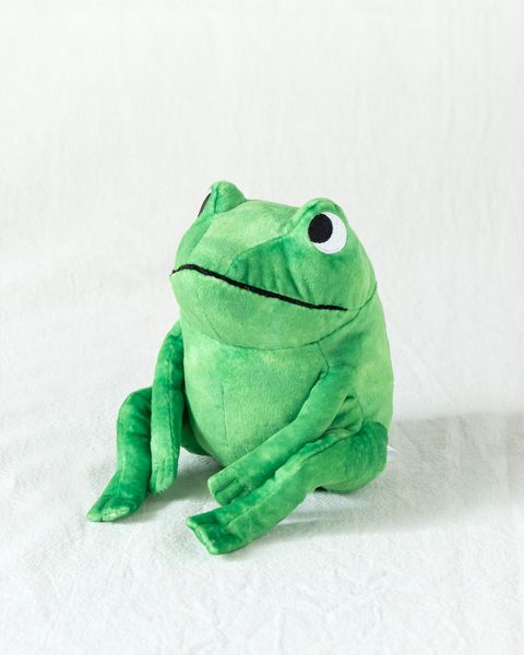 529208550_1142672001215913_535053809961843687_n