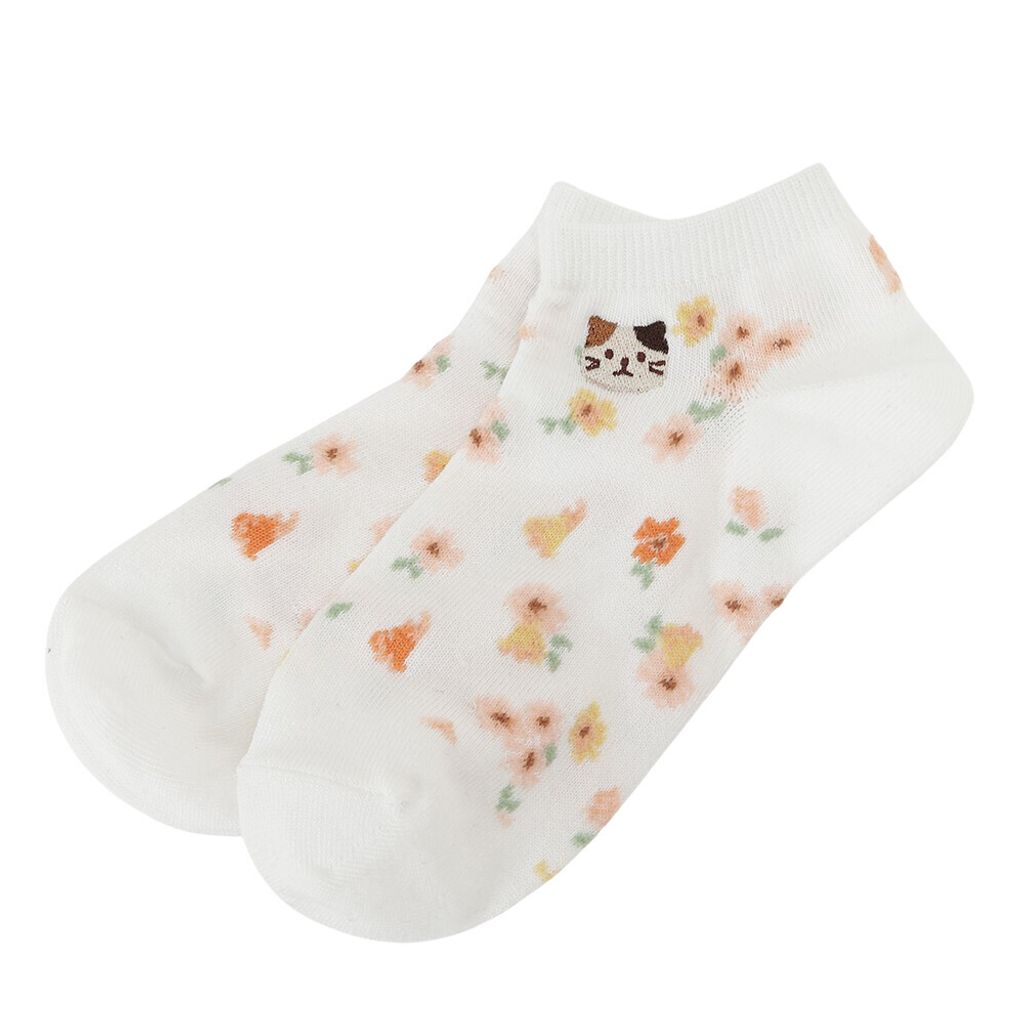 531502375_1389718103154551_3310790949961316766_n