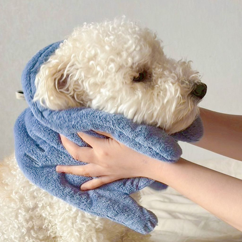 538613520_1399010802225281_2100649219410840241_n