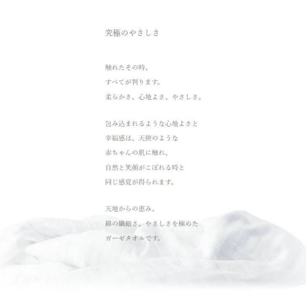 529362465_1385271090265919_6946903713374330381_n